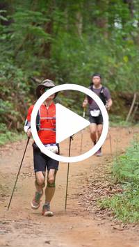 BIB:  <button type="button" onclick="openModal(26817596)" class="btn btn-primary btn-sm float-right" data-toggle="modal" data-target=".modal-high-quality">
                <i class="fa fa-download"></i> Download
                </button>